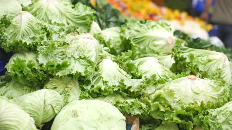 fresh green lettuce and cabbage at a market