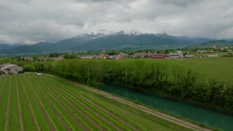 4k-Drone-Shot-of-Tuscan-vineyards-along-the-paths-of-the-countryside