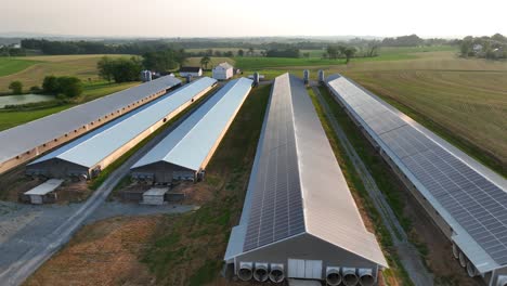 aerial rising shot of poultry farm barns with solar panels on roof