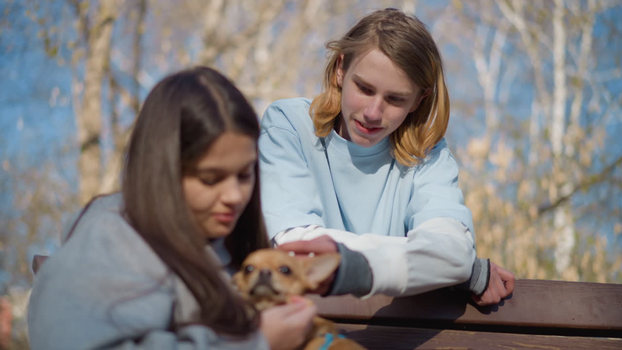 Amigos en un banco observan a un cachorro juguetón, un estudiante y un transeúnte comparten una sonrisa mientras la mascota se acurruca en su regazo, curiosidad compartida y caricias suaves, cielo azul pálido y abedules crean un telón de fondo sereno