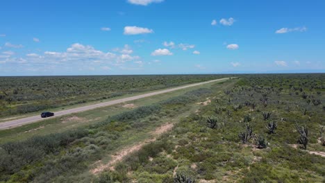 imágenes de drones volando sobre campos de cactus y una carretera mientras un automóvil pasa por las salinas grandes en la rioja, argentina