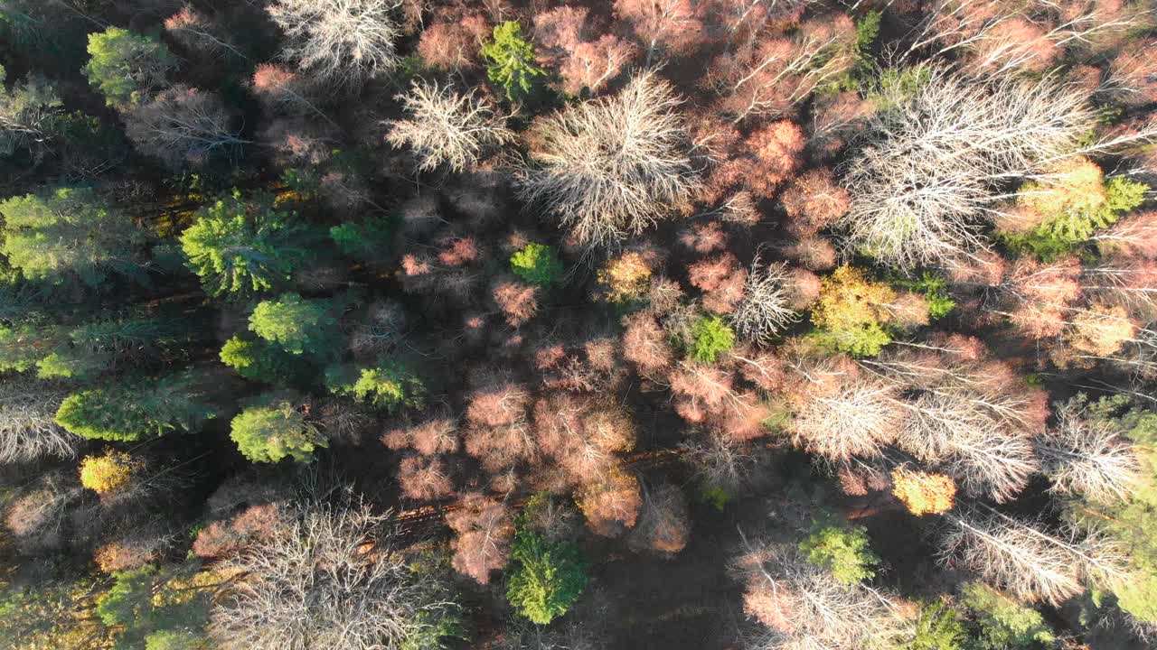 Riprese con drone, vista dall'alto