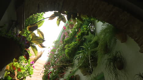ornate flower decorated courtyard