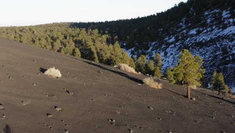 Volcanic-black-sand-with-mountain-and-pine-trees-at-Sunset-Crater,-Flagstaff---aerial-drone-flying-shot