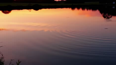 serene reflections of a vibrant sunset over a tranquil water surface, capturing nature's beauty and calming atmosphere at dusk