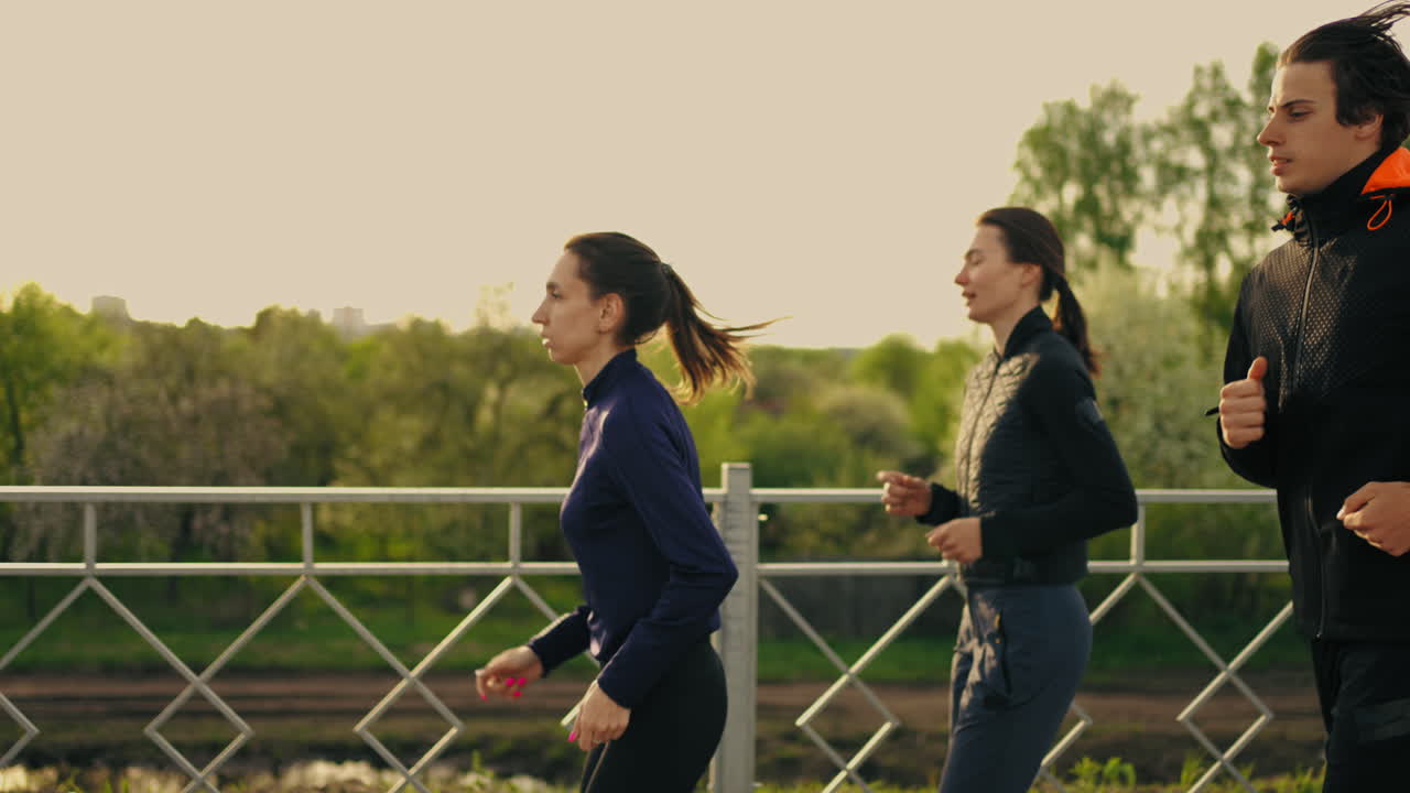 사람들이 여름 아침에 공원에서 야외에서 달리며 훈련하고 있습니다. 세 명의 운동 선수들이 조하고 있습니다.