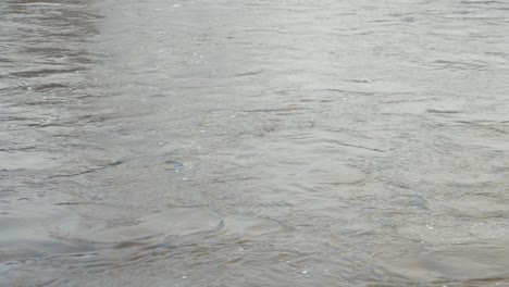 Río-En-Pleno-Flujo-Durante-La-Lluvia-De-Invierno-4k