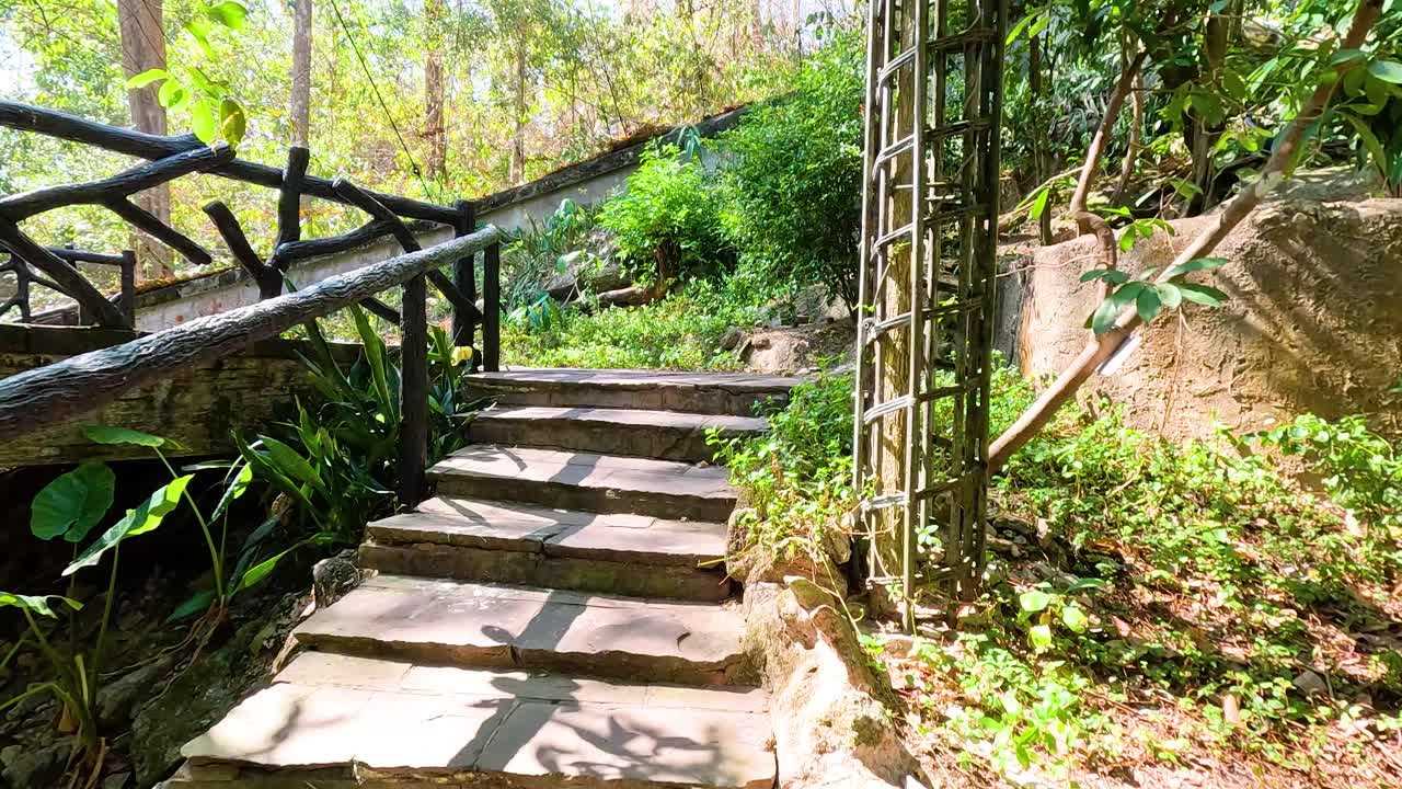 울창 한 동물원 환경 에서 경치 좋은 산책로