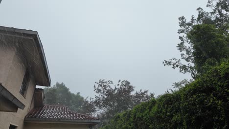 Rainy-Day-at-a-Suburban-Home-with-a-storm-hitting-badly-the-trees