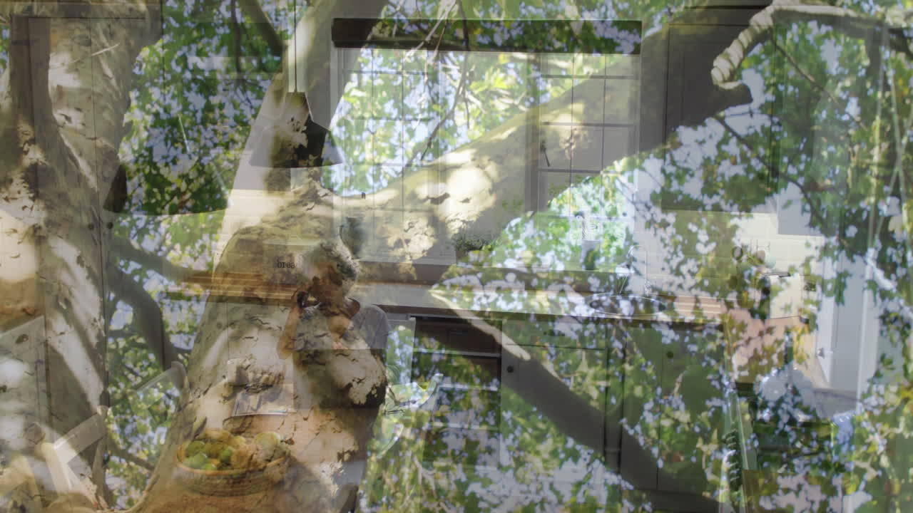 Geometric architectural elements overlaying tree branches and leaves in animation