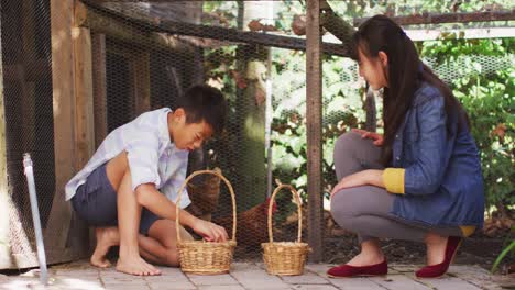 happy asian brother and sister with baskets collecting eggs from hen house in garden