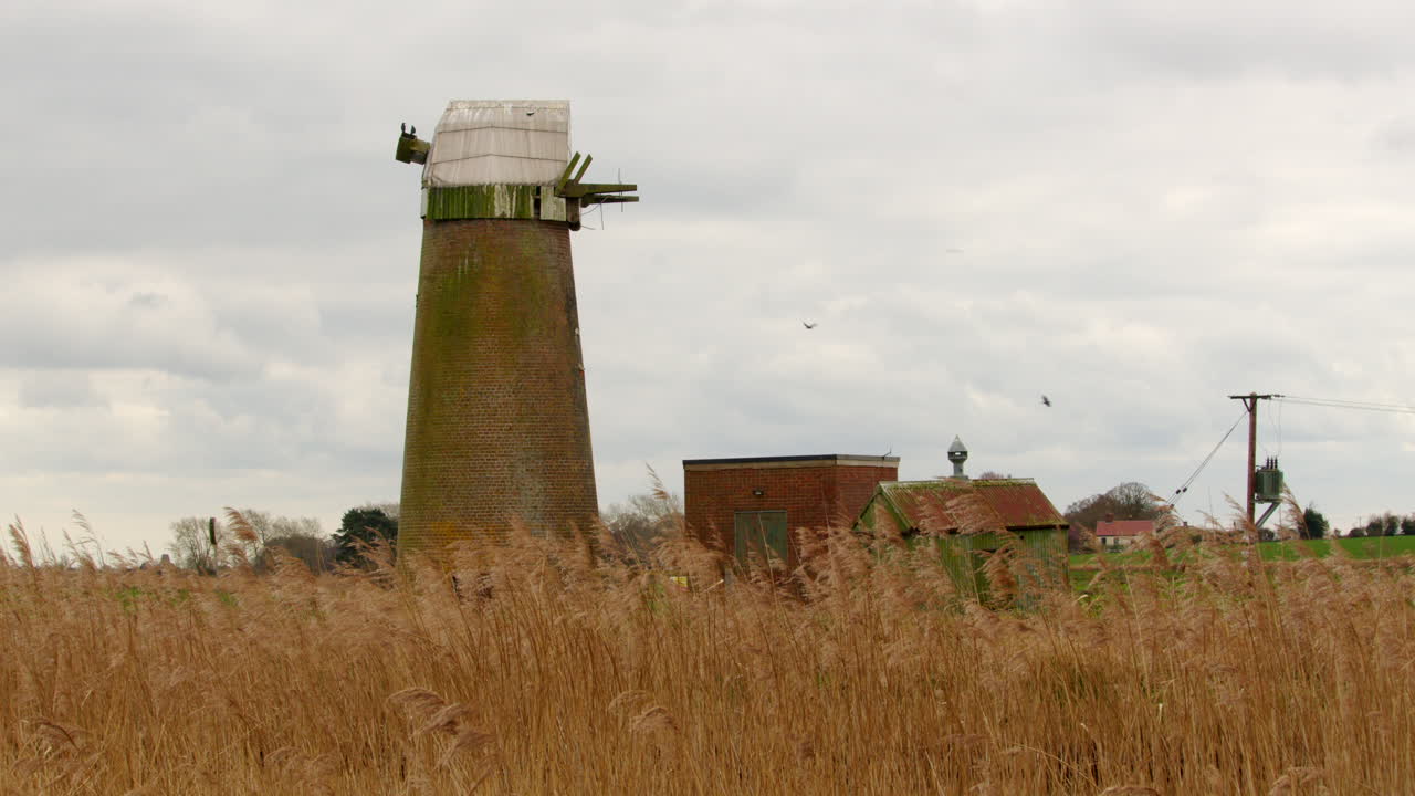 боковой выстрел, глядящий через тростник на заброшенную ветряную мельницу норфолка бродс водяной насос с птицами, летающими по реке муравьи недалеко от моста людхэм