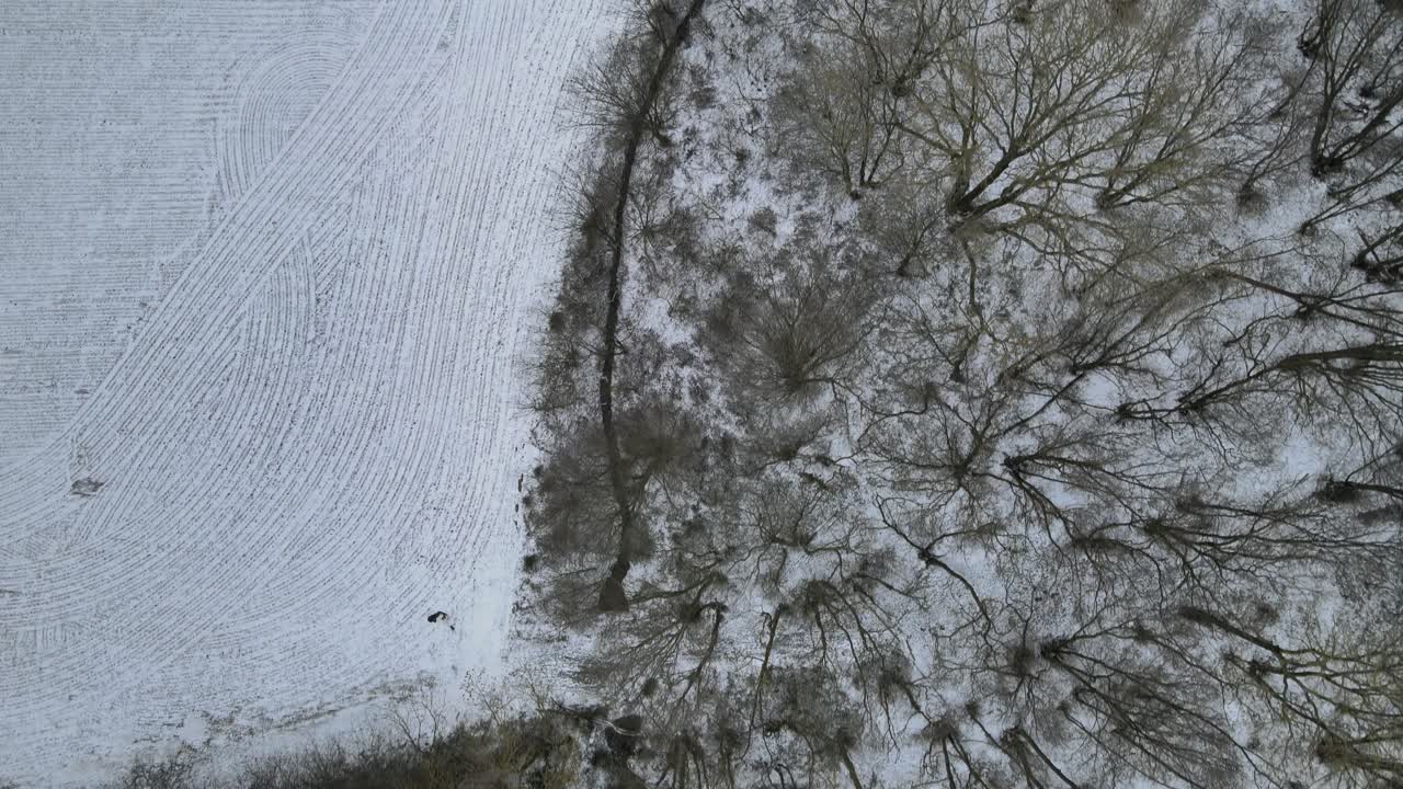 Vista aerea dall'alto di un paesaggio invernale innevato con campo agricolo e foresta