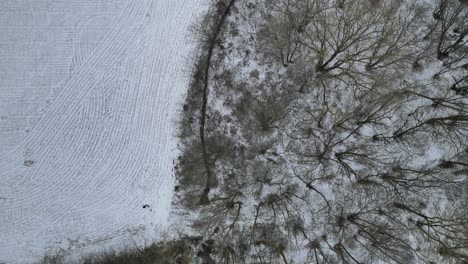 Overhead-Antenne-Schneebedeckte-Winter-Landschaft-Bauernhof-Feld-Und-Wald