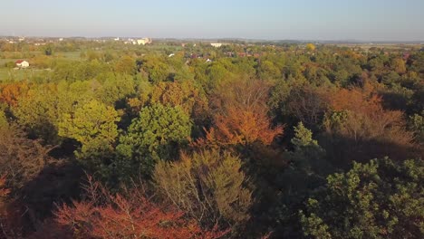 aerial view of colorful trees during a sunny fall day with a little haze in the air