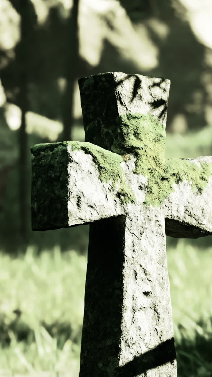 Moss covered stone cross in a serene forest during bright daylight hours
