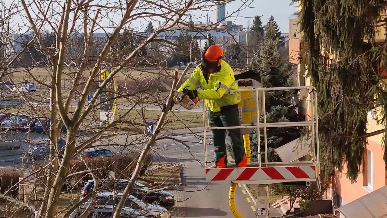 Arborist med motorsav beskærer et bladløst træ og fjerner små grene i senvinteren.