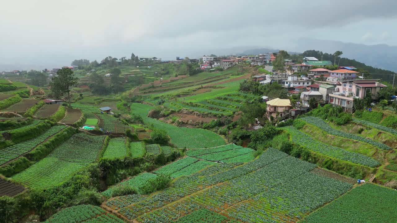 Een luchtvideo van de rijstterrassen van Amganad in Ifugao, Filipijnen, toont de hooggelegen rijstvelden met oude gewassen en het omliggende bos