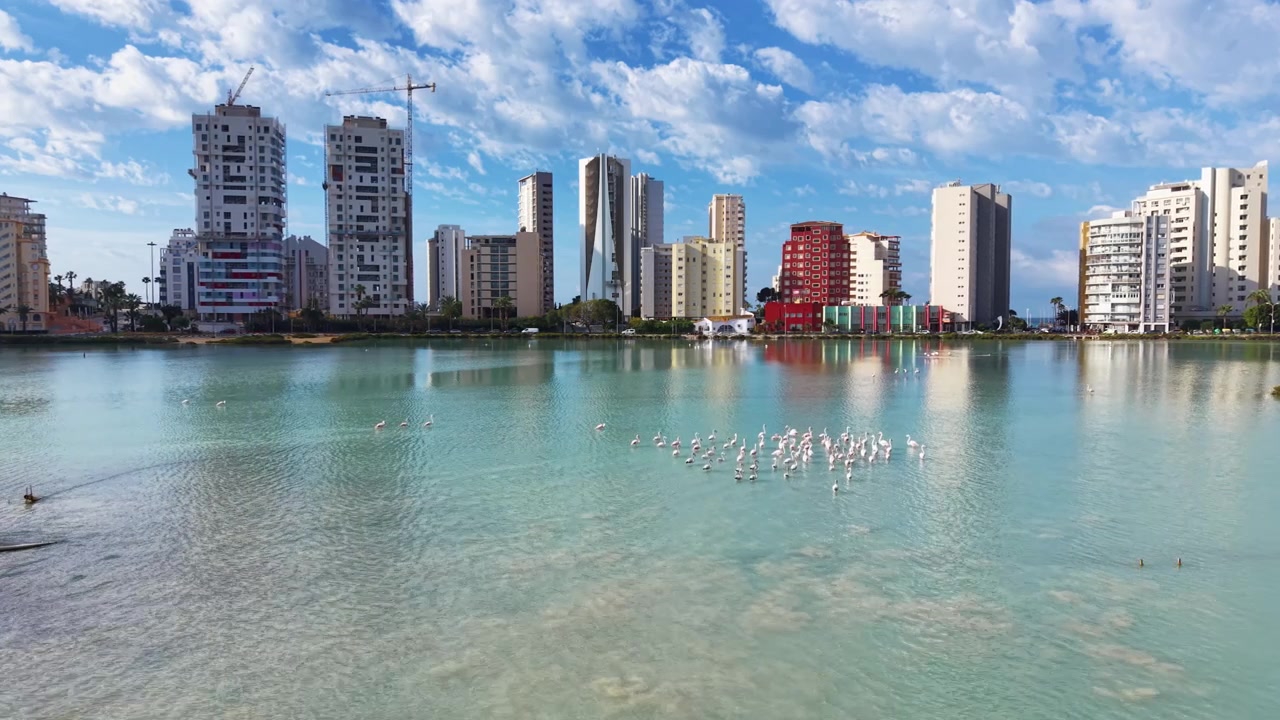 Flamencos vadeando en una laguna turquesa con el horizonte de la ciudad de Calpe y edificios de gran altura reflejados en aguas tranquilas bajo un cielo azul parcialmente nublado.