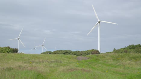 Moving-slowly-across-grassy-meadow-towards-rotating-windmills-on-cloudy-summer-day