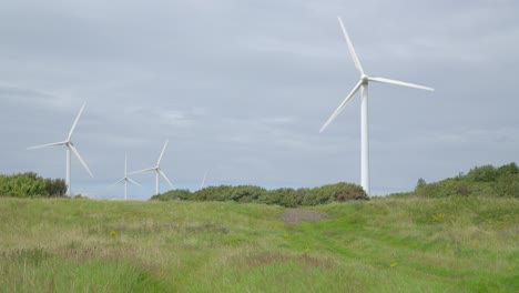 moviéndose lentamente a través del prado de hierba hacia los molinos de viento giratorios en un día nublado de verano