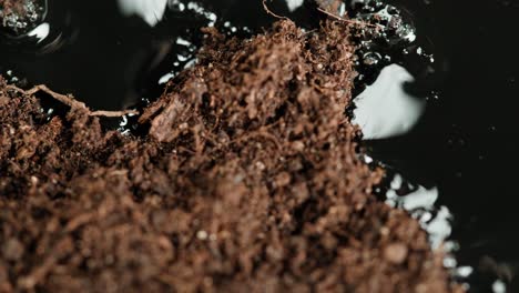 close-up of soil and water