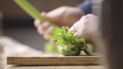 sorting parsley sticks for cooking. making green smoothies