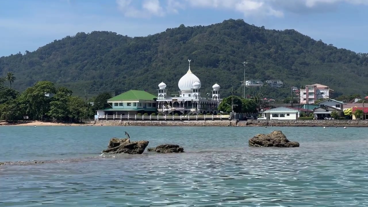 Panorama Udara Delta Sungai Berliku yang Mengalir Melalui Hutan Bakau Hijau Lebat