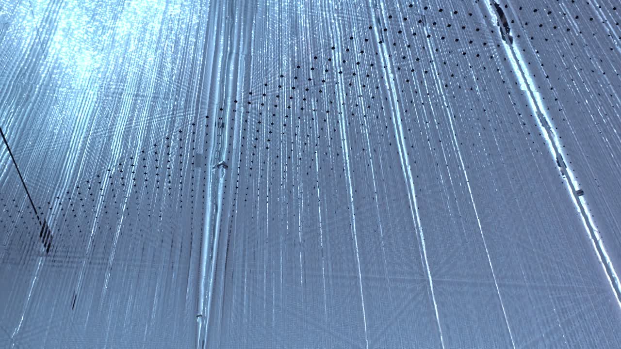 Vibrant light strips smoothly transitioning through a spectrum of colors, creating a dynamic and captivating visual experience.