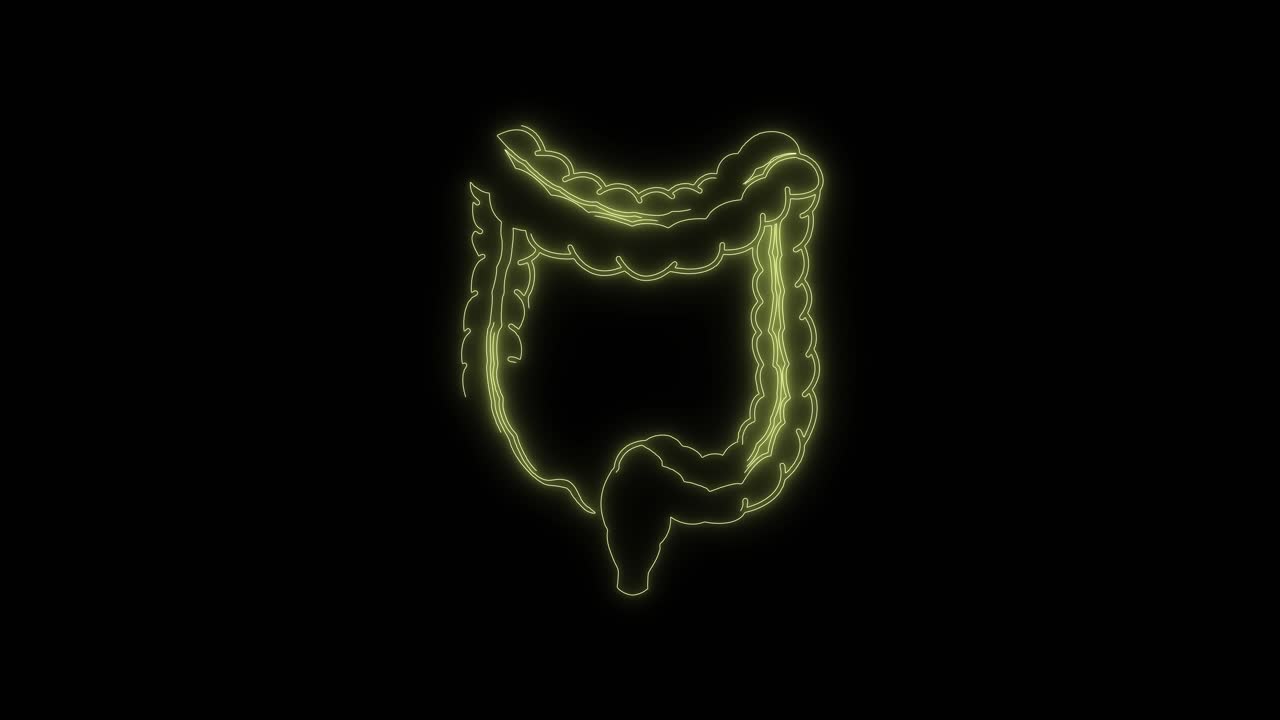 Contorno al neon luminoso dell'intestino crasso umano