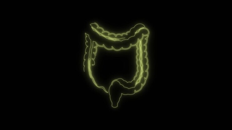 Glowing Neon Outline of Human Large Intestine