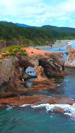 coastal rocks and arch with forest and beach in the background