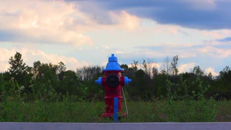 Bright-blue-fire-hydrant-centred-in-frame-in-the-middle-of-a-field