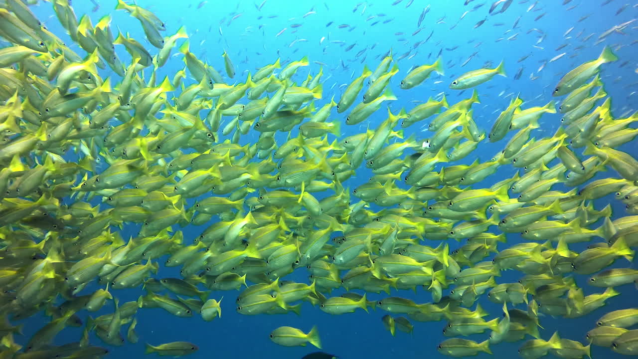 Alright let's start counting