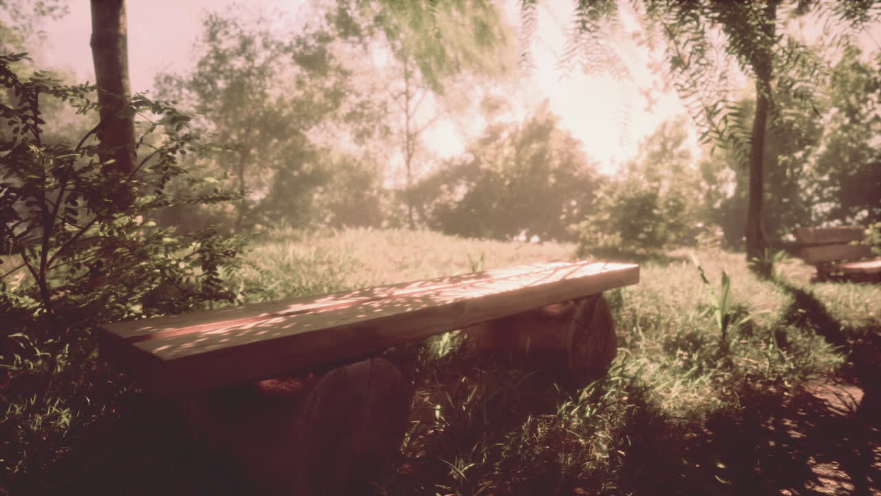 평화로운 숲 속 의 나무 벤치