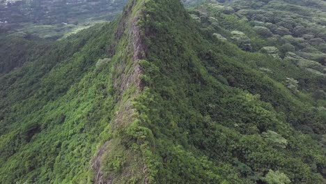 koa tree and foliage covered mountain spine on windward side of oahu hawaii with a hazy sky, aerial dolly tilt up of three peaks hiking trail, also known as olomana