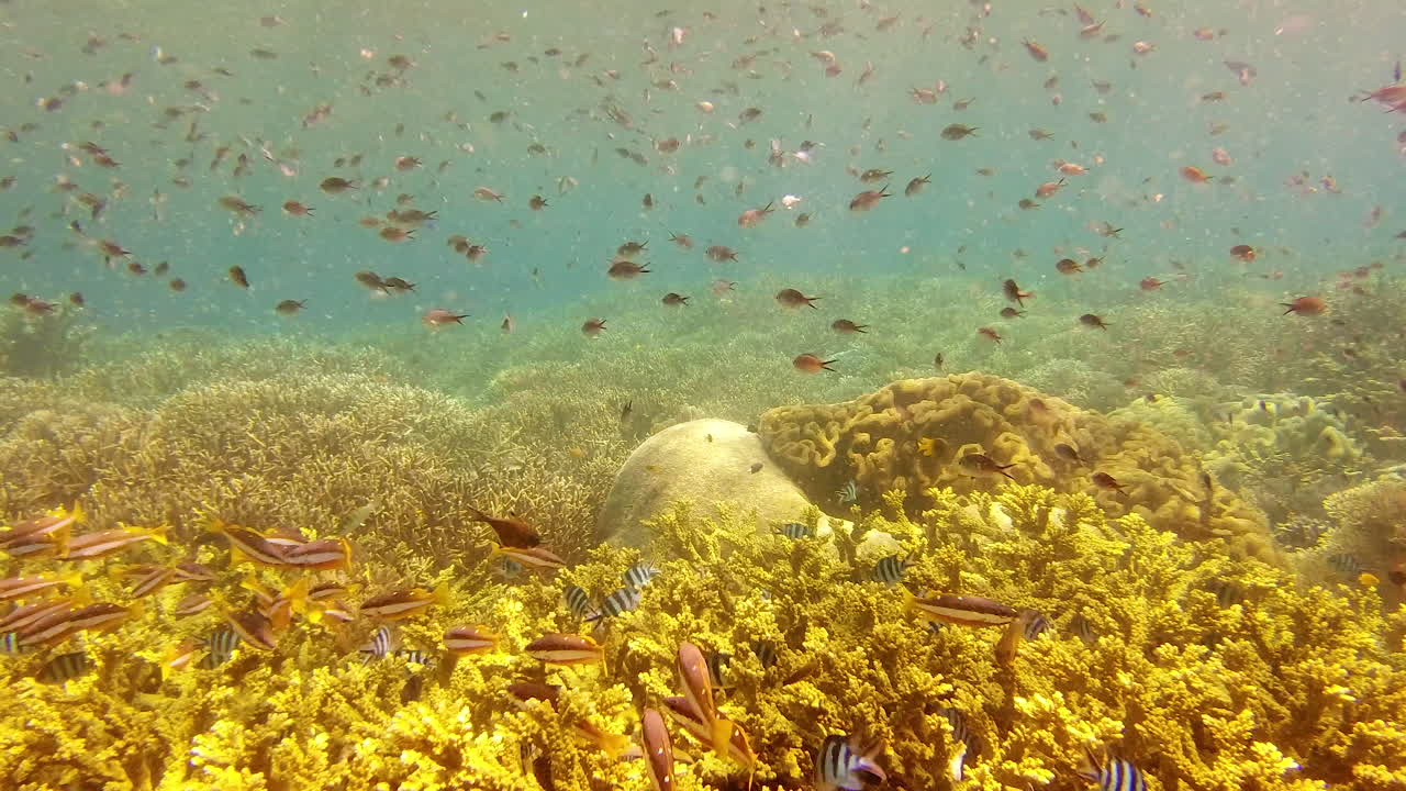 표면  ⁇ 에는 완전히 다른 세상이 존재합니다.