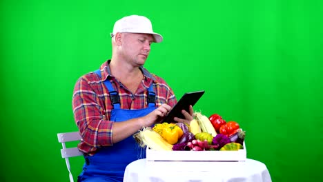 close-up, handsome male farmer in plaid shirt and blue jumpsuit, holding a tablet on chromakey, green background and box full of different vegetables, in studio. crop counting, harvest of vegetables