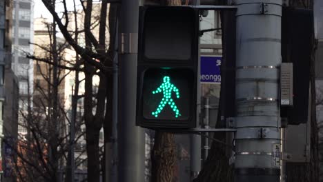 Pedestrian-traffic-lights---green-blinking-light-changing-to-the-red,-urban-atmosphere