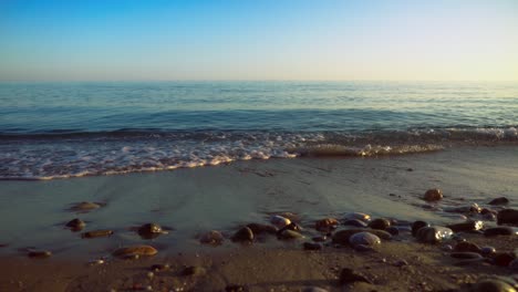 relaxing ocean waves at the beach