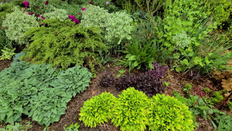 Panning-view-of-lush-wet-humid-bio-diversity-in-a-park