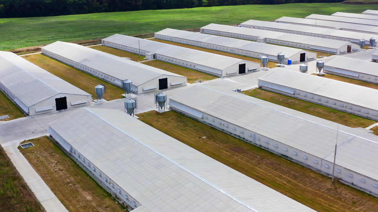 Aerial view of industrial chicken house. Modern farm poultry buildings. Agriculture