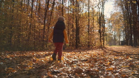 the view from the back: a boy walks through a fallen yellow foliage from trees in an autumn park in the sun in slow motion. high quality 4k footage