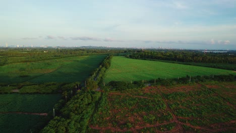 Ruhige-Landschaft-Mit-Feldern-Und-Einer-Auffahrt-Bei-Sonnenaufgang,-Luftbild