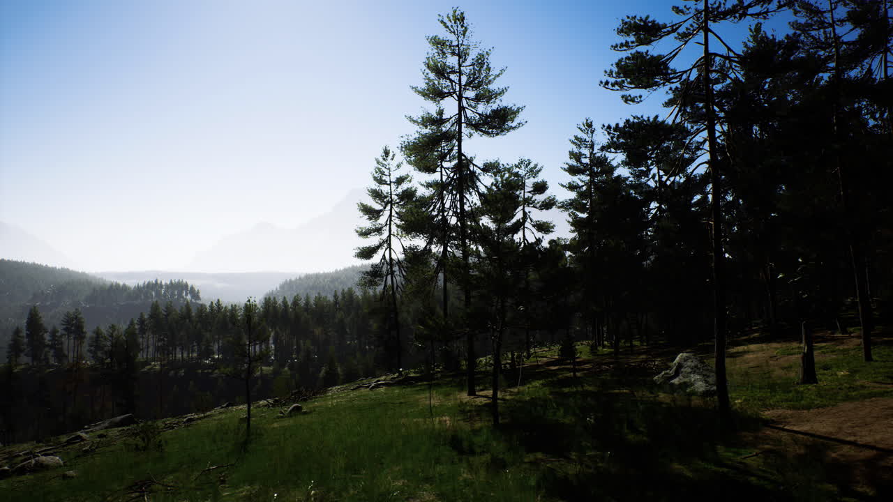 Expansive view of lush forest and distant mountains under clear blue sky
