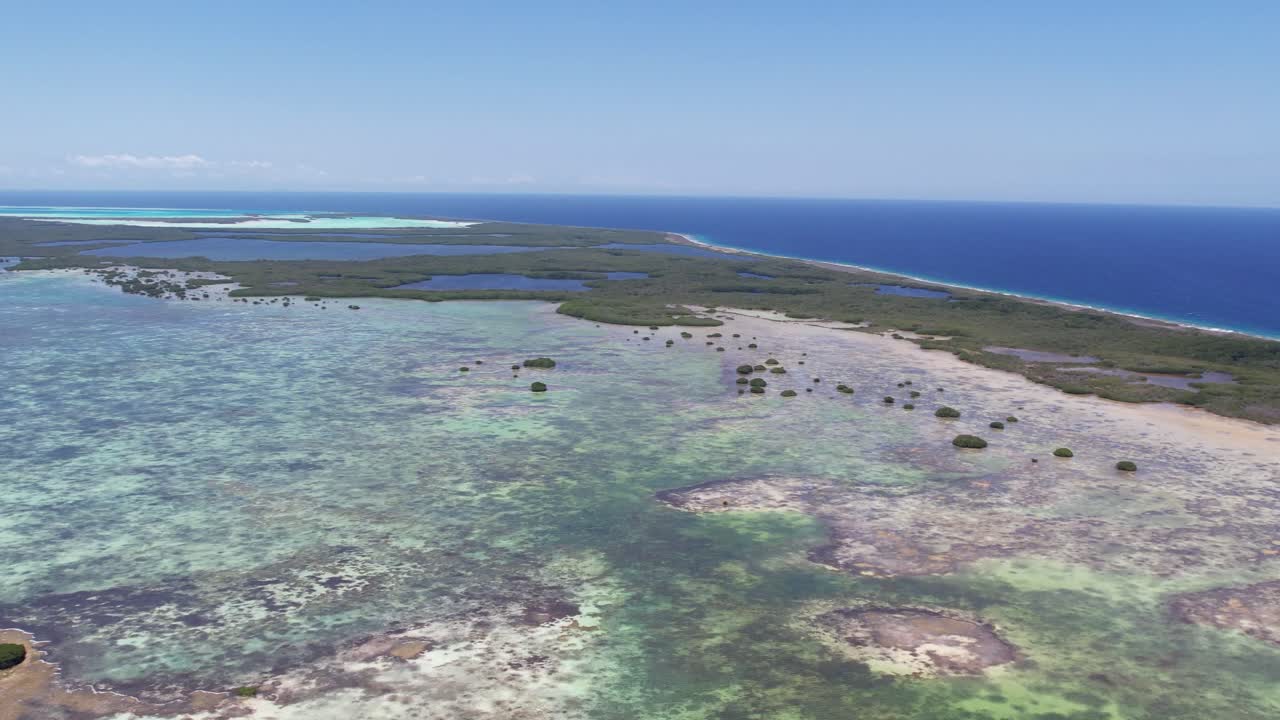 활기찬 습지와 밝은 빛 아래의 은 물, 공중 사진