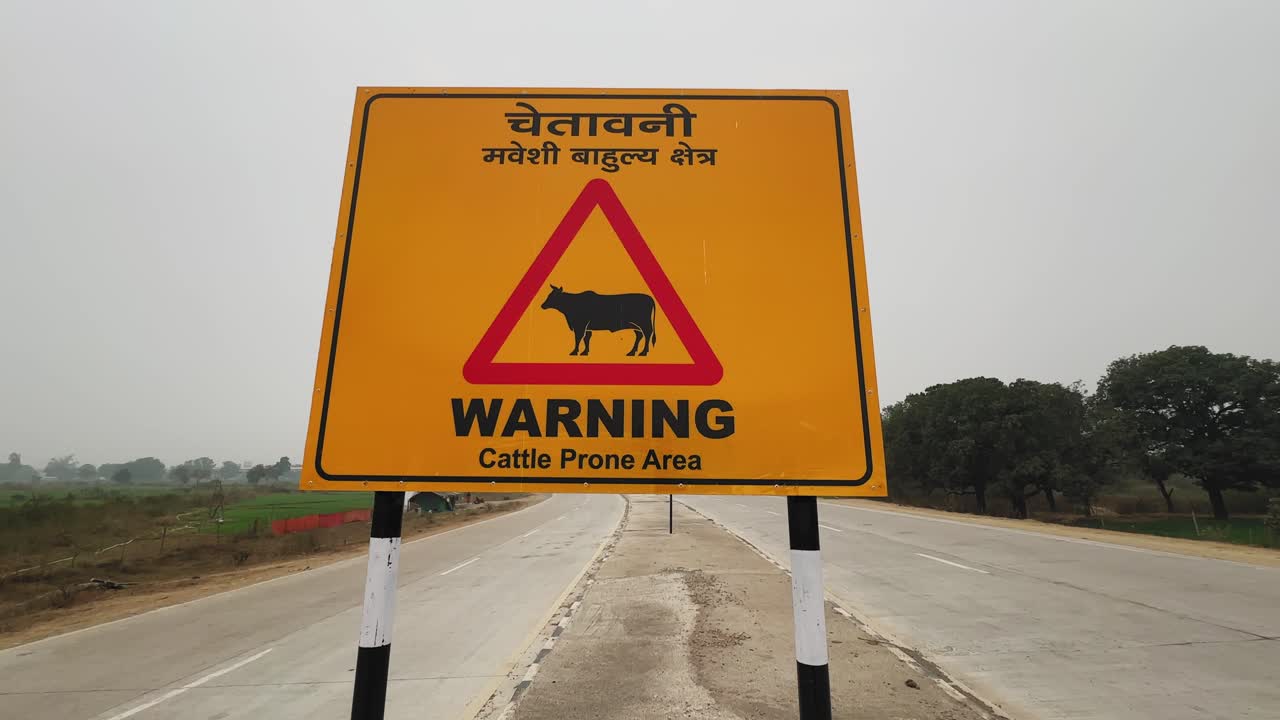 Static shot of a cattle prone area warning sign installed on an Indian highway, cautioning drivers about possible stray animals crossing the road in a rural area