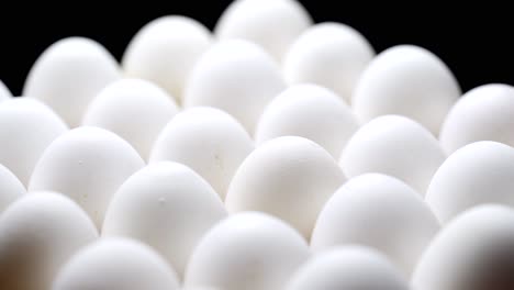 close-up of packed chicken eggs. white eggs in carton box.
