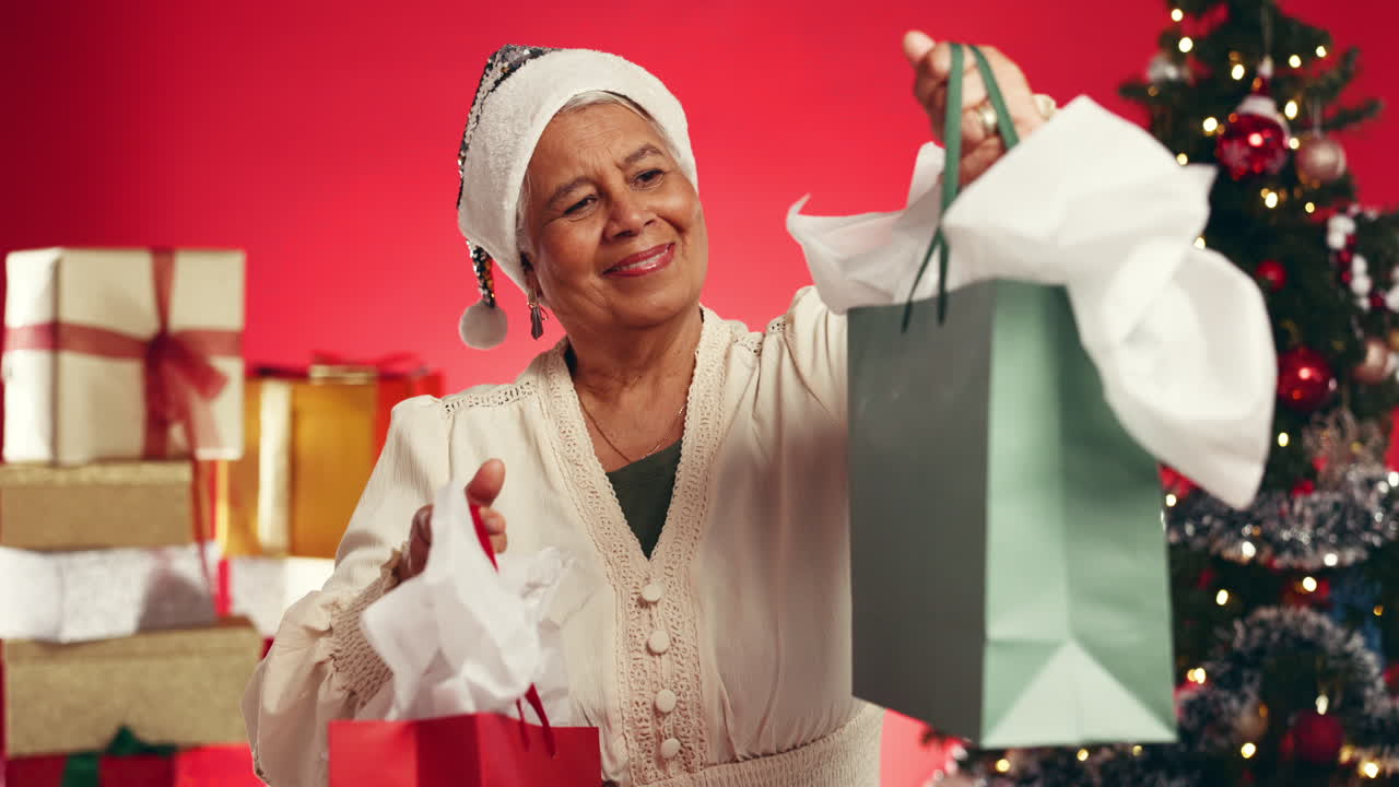 Woman holding shopping bags with Christmas gifts