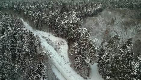 Verschneite-Straße-In-Einem-Winterwald